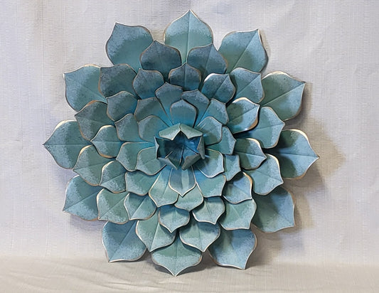 Blue-Green Succulent